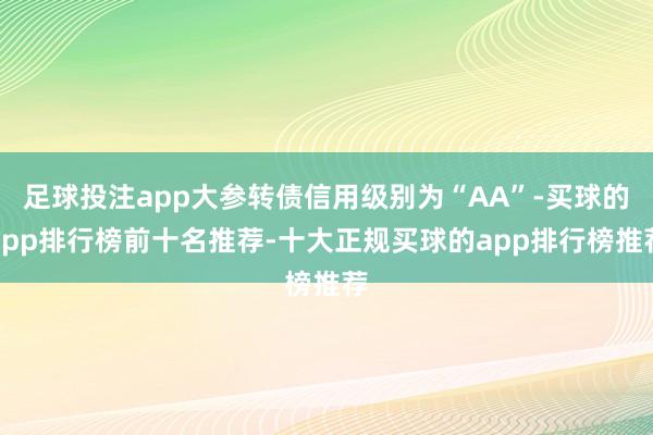 足球投注app大参转债信用级别为“AA”-买球的app排行榜前十名推荐-十大正规买球的app排行榜推荐