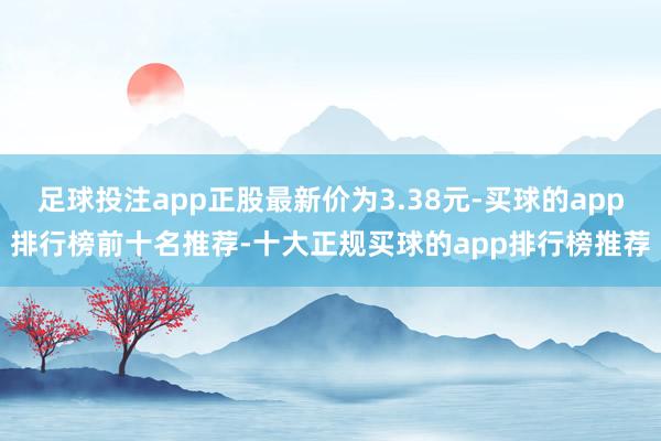 足球投注app正股最新价为3.38元-买球的app排行榜前十名推荐-十大正规买球的app排行榜推荐