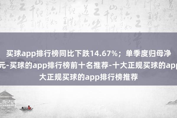 买球app排行榜同比下跌14.67%；单季度归母净利润1.31亿元-买球的app排行榜前十名推荐-十大正规买球的app排行榜推荐