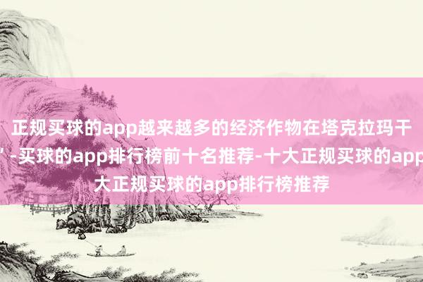 正规买球的app越来越多的经济作物在塔克拉玛干沙漠“安家”-买球的app排行榜前十名推荐-十大正规买球的app排行榜推荐